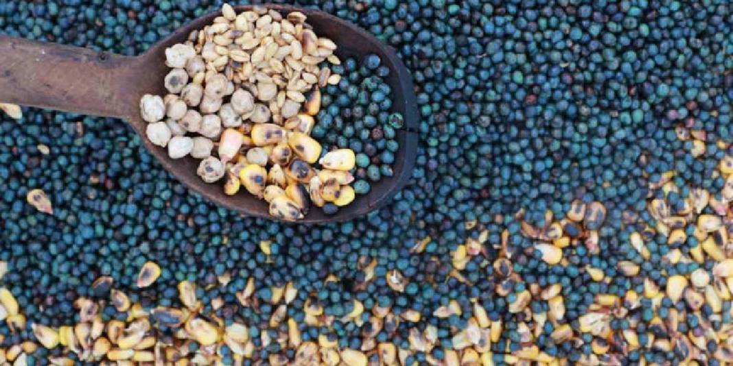 Kor ateşte uzun saatler kavrulan doğal lezzet: Evliya Çelebi’nin de bahsettiği miras binlerce yıldır  sofralara uzanıyor! 8